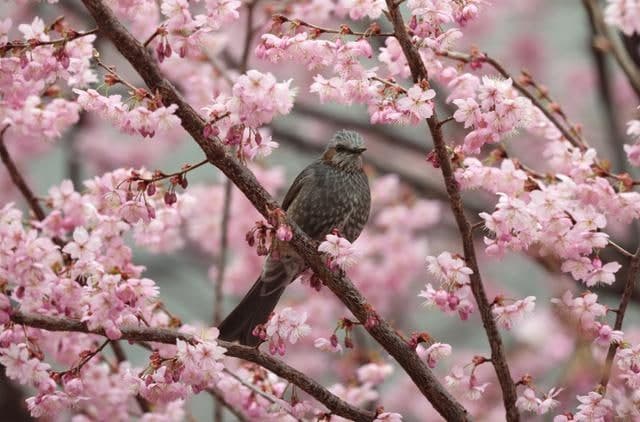 북쪽 찬 공기 유입…주말 아침 기온 '뚝' 대부분 영하권, 강풍에 쌀쌀