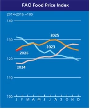 세계 식량가격 0.9%↑…5개월 하락 끝내고 '곡물·유지류·육류' 오르고, '유제품·설탕' 내리고