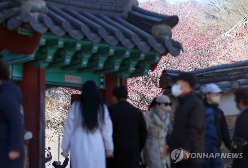 낮 최고 20도 포근한 봄 날씨…일교차는 커