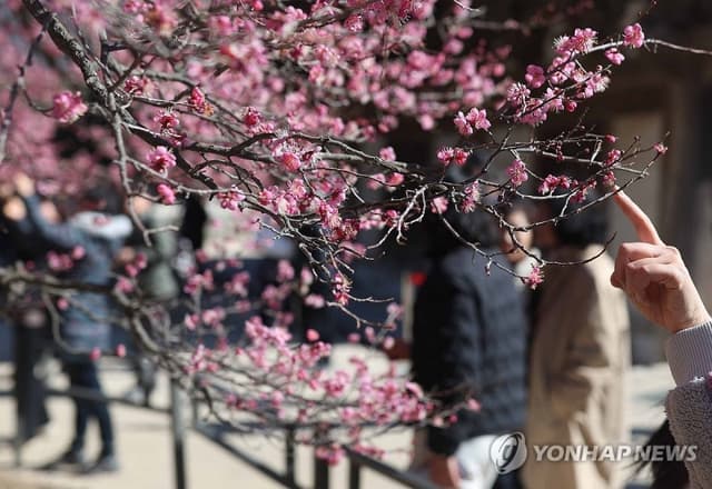 낮 최고 20도, 맑고 포근한 토요일…미세먼지 '나쁨' 강풍 주의