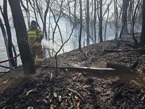 강풍 속 충남 서부 잇단 산불…서산 석유비축기지 인근까지 확산