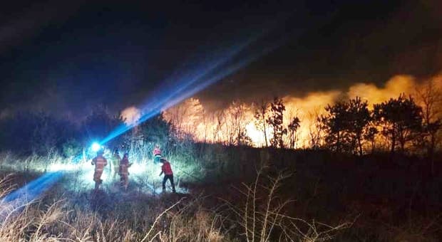 강원 고성 리조트 인근 산불, 강풍 타고 400m 번져…소방 대응 2단계 발령