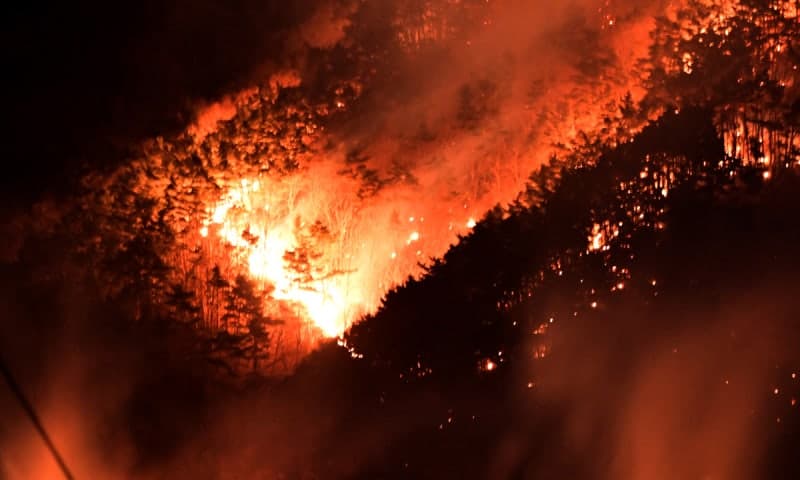 건조·강풍 전국 산불 기승, 고성 대형화 막아