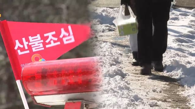 내일 전국 '단비'…건조·강풍에 대형 산불 위험 해소