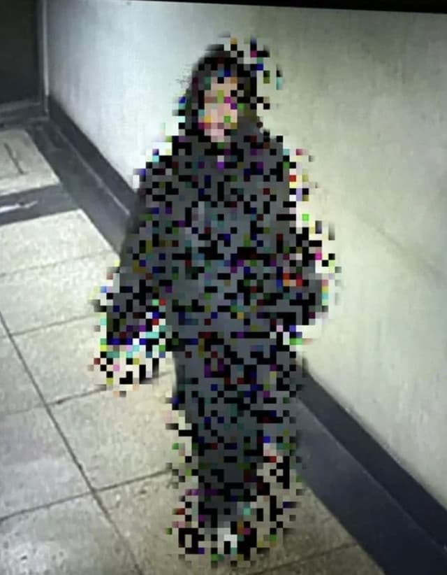 등촌동 빌딩 복도 '대변 테러' 젊은 여성, 택시 타고 줄행랑...CCTV 공개 논란