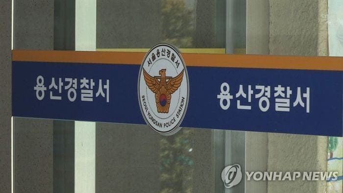 반포대교 포르쉐 추락, 운전자 마약 혐의 긴급체포
