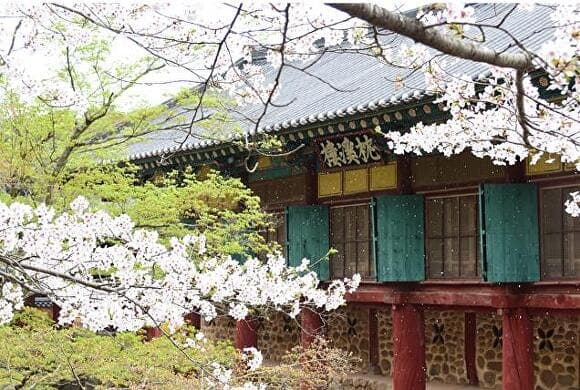 순천 송광사 침계루, 순천시 53번째 '보물' 지정