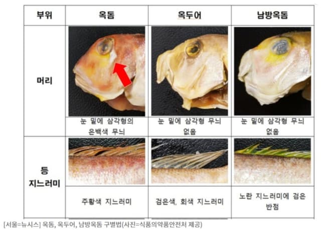 "옥두어를 옥돔으로 둔갑"…제주 원산지 거짓 표시 15곳 무더기 적발