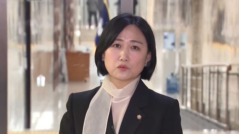 민주당, 국민투표법 상정 직전 '허위사실 유포 처벌' 조항 삭제