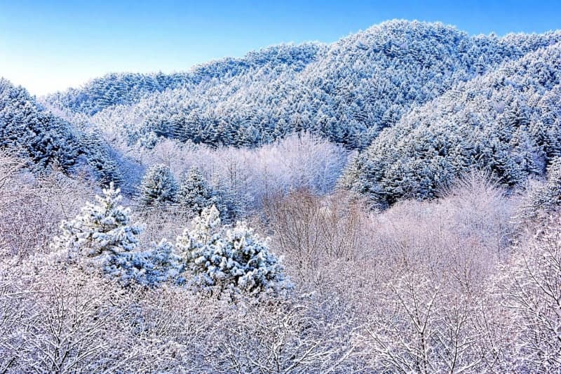 전국 비·눈…강원산지 최대 40㎝ 폭설, 연휴 마지막날 외부활동 주의