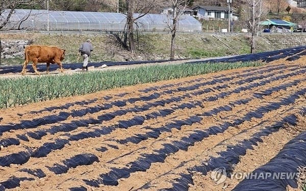 정부, 사상 첫 농지 전수조사…수도권 투기 근절