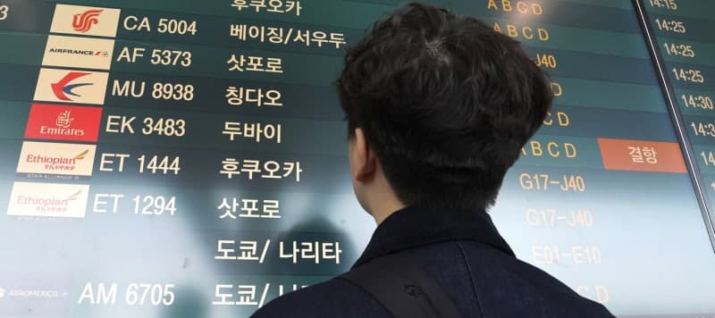 국토부, '중동 상황' 항공분야 점검…대한항공 등 결항 속출