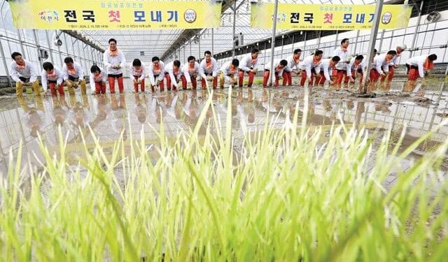 전국 농지 첫 전수조사, 투기 근절 나선다