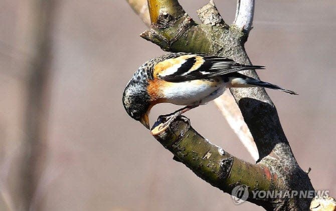 수도권 미세먼지 '나쁨'…출근길 영하권 쌀쌀, 전국 일교차 커