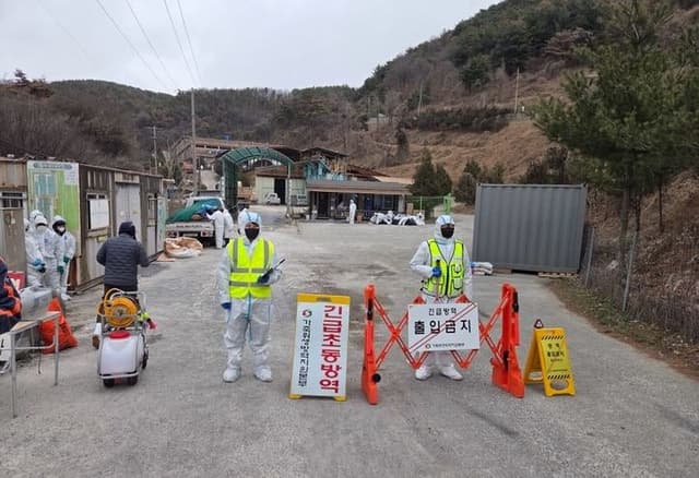 연천 돼지농장 ASF·봉화 산란계 AI 발생…인접지 이동 중지