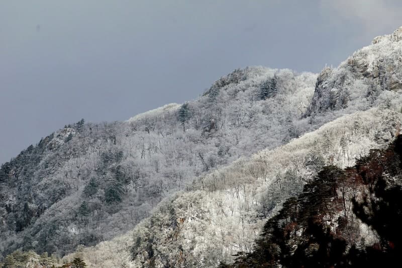 전국 눈비, 강원 대설특보…미세먼지·기온변화 주의