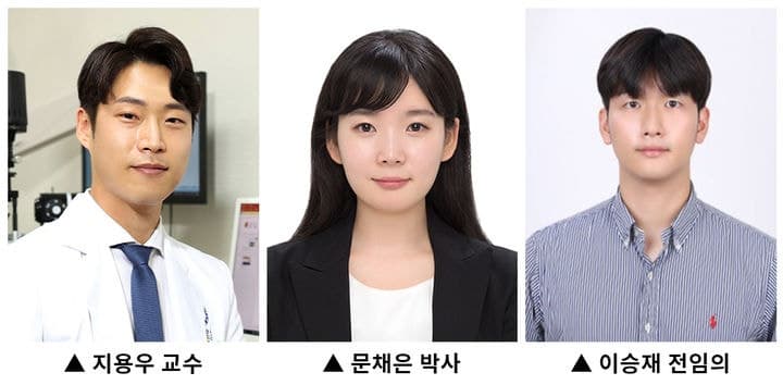 용인세브란스병원 "망막 변화 통해 파킨슨병 조기 진단 단서 규명"