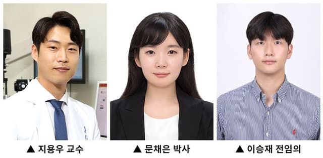 용인세브란스병원 "망막 변화 통해 파킨슨병 조기 진단 단서 규명"