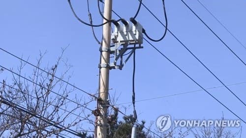 구리값 폭등에 전봇대 전선 절도, 퇴직 배전공 입건