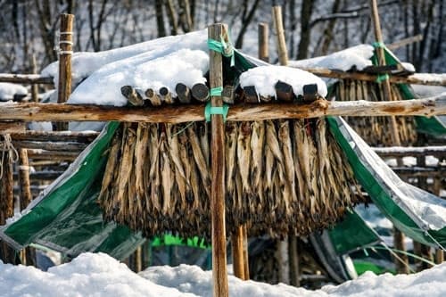 주말 전국 영하권 꽃샘추위, 서울·인천·수원 아침 최저 -3도…빙판길 주의해야