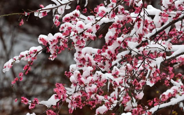 중부지방 눈·비, 당분간 아침 영하권 추위 계속