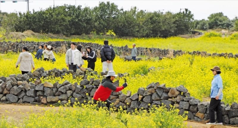 내일까지 강원 산지 20㎝ 대설…동해안·경상권 눈비