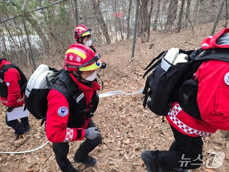 정부, 3월 14일부터 4월 19일까지 '대형산불 특별대책기간' 가동…범정부 대응 강화