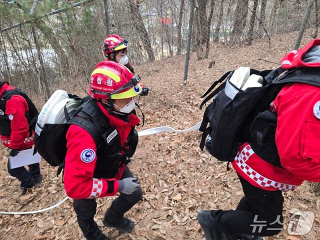 정부, 3월 14일부터 4월 19일까지 '대형산불 특별대책기간' 가동…범정부 대응 강화