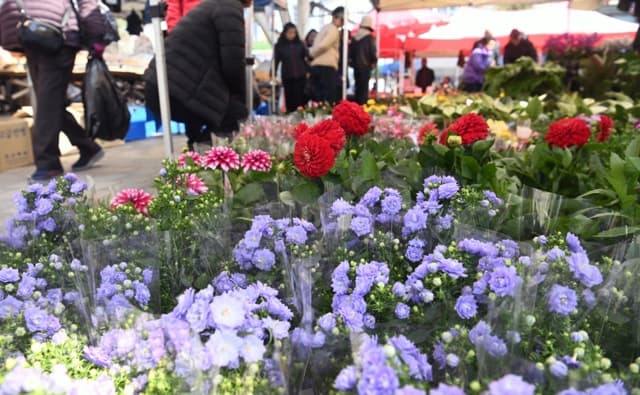 주말 전국 흐림 속 낮 최고 15도…일교차 15도 안팎 주의