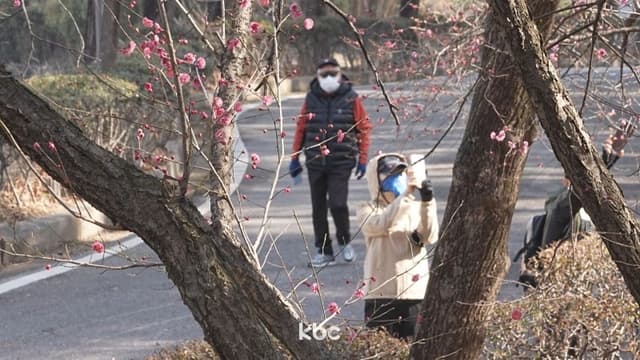 월요일 출근길 기온 뚝, 큰 일교차…미세먼지 '나쁨'