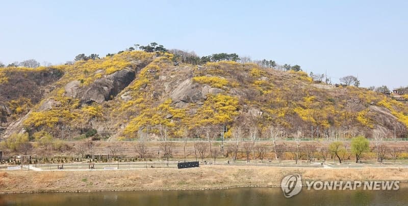 맑고 포근한 봄날, 일교차 커 건강 유의…밤에는 쌀쌀해 겉옷 챙겨야