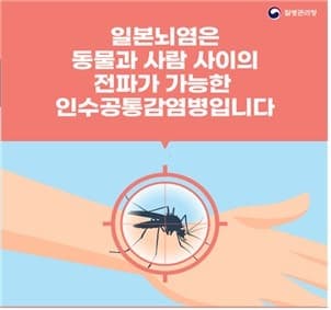 "윙~" 소리 들리면 조심하세요! 전국 일본뇌염 주의보 발령…전년 대비 1주 빨라
