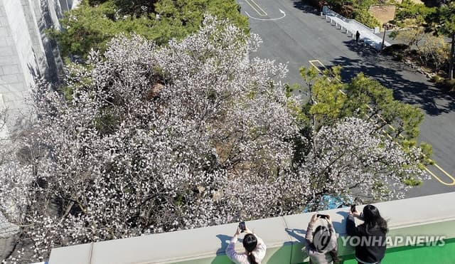 주말 전국 맑음 '야외활동' 좋아요…일교차 15~20도