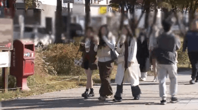 내일 아침 영하권, 낮 최고 19도…큰 일교차와 짙은 안개 주의