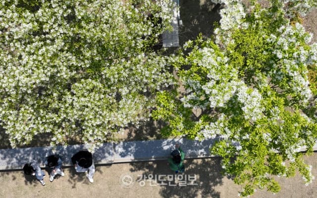 월요일 전국 맑지만 일교차 15~20도…강원 동해안 대기 매우 건조