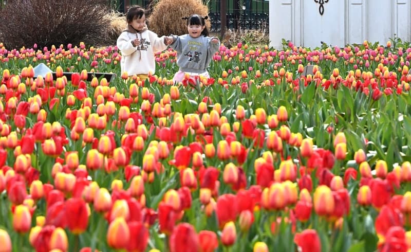 내일(23일) 전국 대체로 맑지만 일교차 '20도' 주의, 수도권 미세먼지 '나쁨'
