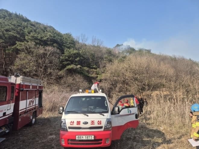 토종꿀 채취하러 산에 갔다가…단양 산불 현장서 80대 남성 숨진 채 발견