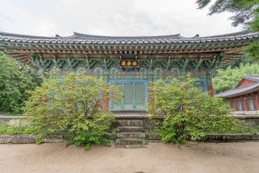 정밀 진단서 '빨간불'…대구 동화사 극락전, 전면 해체·보수 공사 착수