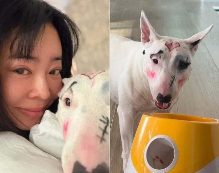 이혜영, 반려견 얼굴에 '풀메이크업'?…동물학대 논란 휩싸여