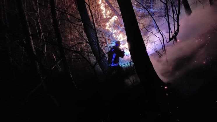 곡성군, 산불 원인자 2명 검찰 송치 "무관용 원칙 강력 대응"