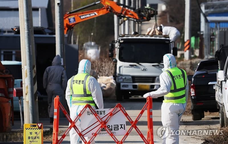 칠레 고병원성 AI 발생…정부, 칠레산 가금육·가금생산물 수입 금지