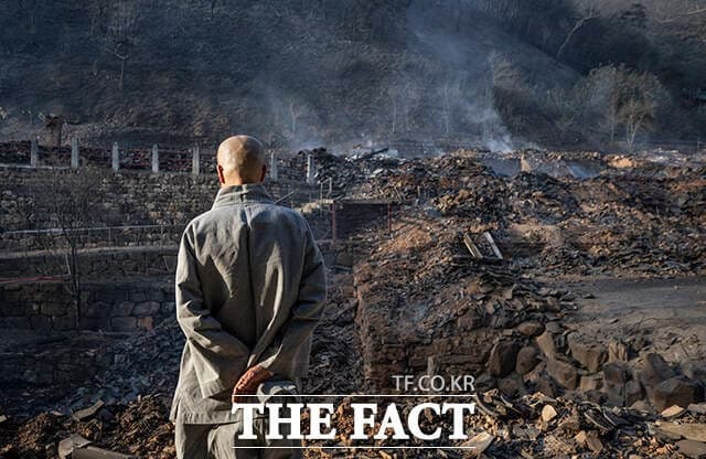 108년 만 가뭄·역대 최대 산불…폭염·폭우 겹친 기후위기 '경고'