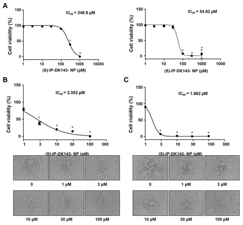 호서대 윤명식 교수팀, 나노항암제 개발…자궁경부암 억제 효과 확인
