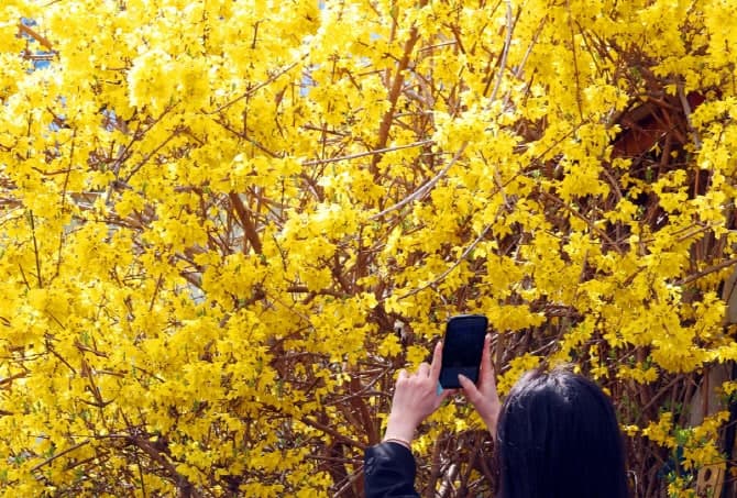 "주말 나들이 가기 좋아요"…전국 낮 20도 '포근'하지만 '불조심'