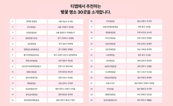 티맵, 전국 벚꽃 명소 30곳 공개…1위는 어디?