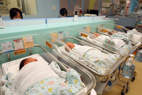 출생아수 7년만에 최다… 합계출산율 '0.99명' 1명 근접