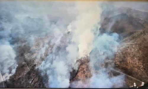포항 군부대 사격 훈련 중 산불 발생…헬기 7대 투입 2시간 30분 만에 주불 진화