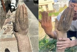 "시체인 줄 알았다" 땅에서 나온 '이것' 정체에 소름, 알고보니 농부가 기른 참마