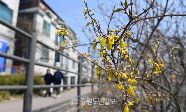 낮 최고 23도 포근한 봄 날씨…짙은 안개와 큰 일교차, 미세먼지 주의