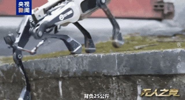 中, '미사일 발사기 탑재' 로봇늑대 시가전 훈련 첫 공개…공중엔 100발 드론총